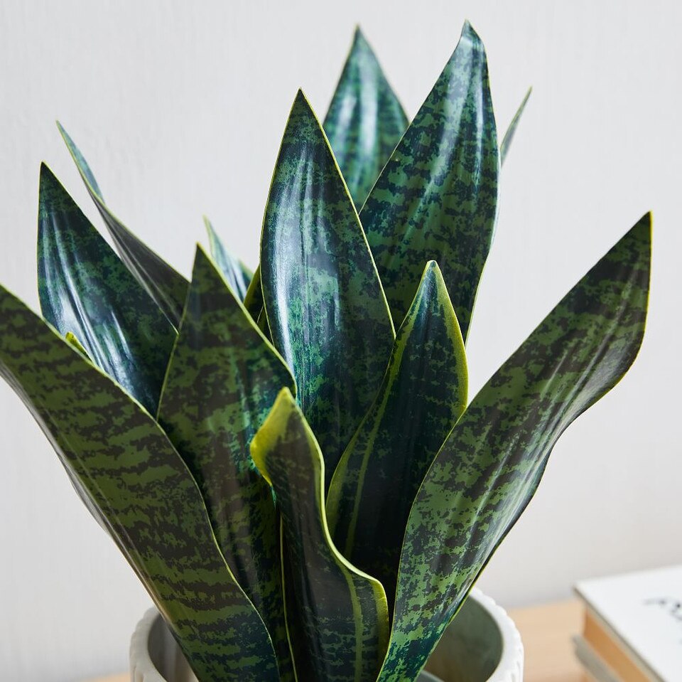 Faux Snake Plant West Elm UK